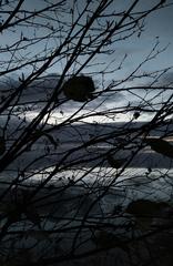 PHOTOGRAPHY_ANASTASIA ALEXANDROVA