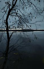 PHOTOGRAPHY_ANASTASIA ALEXANDROVA