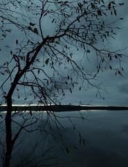 PHOTOGRAPHY_ANASTASIA ALEXANDROVA