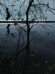 PHOTOGRAPHY_ANASTASIA ALEXANDROVA
