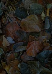 PHOTOGRAPHY_ANASTASIA ALEXANDROVA