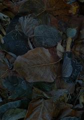 PHOTOGRAPHY_ANASTASIA ALEXANDROVA