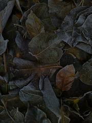 PHOTOGRAPHY_ANASTASIA ALEXANDROVA