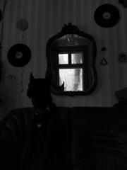 PHOTOGRAPHY_ANASTASIA ALEXANDROVA