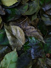 PHOTOGRAPHY_ANASTASIA ALEXANDROVA