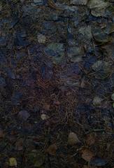 PHOTOGRAPHY_ANASTASIA ALEXANDROVA