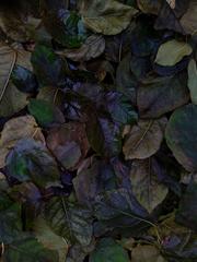 PHOTOGRAPHY_ANASTASIA ALEXANDROVA