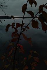PHOTOGRAPHY_ANASTASIA ALEXANDROVA