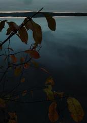 PHOTOGRAPHY_ANASTASIA ALEXANDROVA