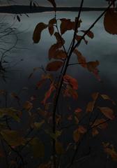 PHOTOGRAPHY_ANASTASIA ALEXANDROVA