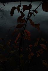 PHOTOGRAPHY_ANASTASIA ALEXANDROVA