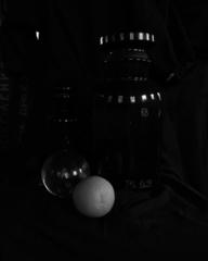 PHOTOGRAPHY_ANASTASIA ALEXANDROVA