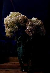 PHOTOGRAPHY_ANASTASIA ALEXANDROVA