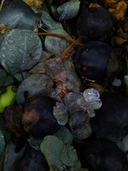 PHOTOGRAPHY_ANASTASIA ALEXANDROVA