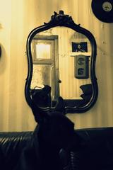 PHOTOGRAPHY_ANASTASIA ALEXANDROVA