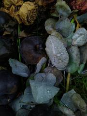 PHOTOGRAPHY_ANASTASIA ALEXANDROVA