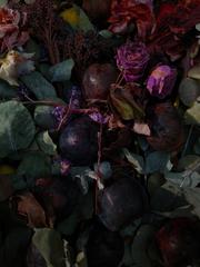 PHOTOGRAPHY_ANASTASIA ALEXANDROVA