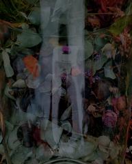 PHOTOGRAPHY_ANASTASIA ALEXANDROVA