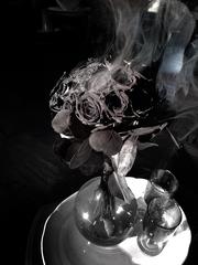 PHOTOGRAPHY_ANASTASIA ALEXANDROVA