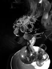 PHOTOGRAPHY_ANASTASIA ALEXANDROVA
