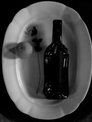 PHOTOGRAPHY_ANASTASIA ALEXANDROVA