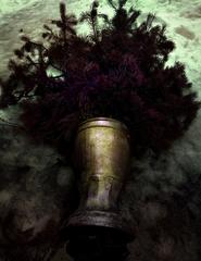 PHOTOGRAPHY_ANASTASIA ALEXANDROVA