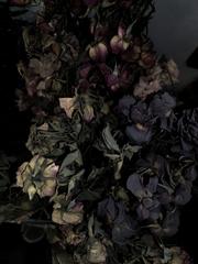 PHOTOGRAPHY_ANASTASIA ALEXANDROVA