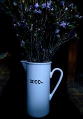 PHOTOGRAPHY_ANASTASIA ALEXANDROVA