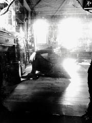PHOTOGRAPHY_ANASTASIA ALEXANDROVA