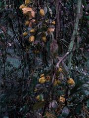 PHOTOGRAPHY_ANASTASIA ALEXANDROVA