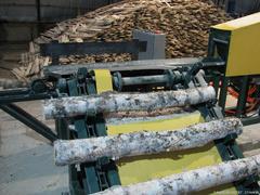 Разобщитель бревен цепной для подачи тонкомерного сырья в составе деревообрабатывающего комплекса для изготовления палетной тарной заготовки.