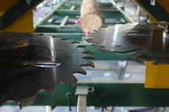 Преимущества дисковой пилорамы перед ленточной: