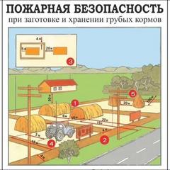 Пожарная безопасность